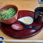 鳥と手打ち蕎麦 とり数寄 - 九条ねぎの冷たいお蕎麦