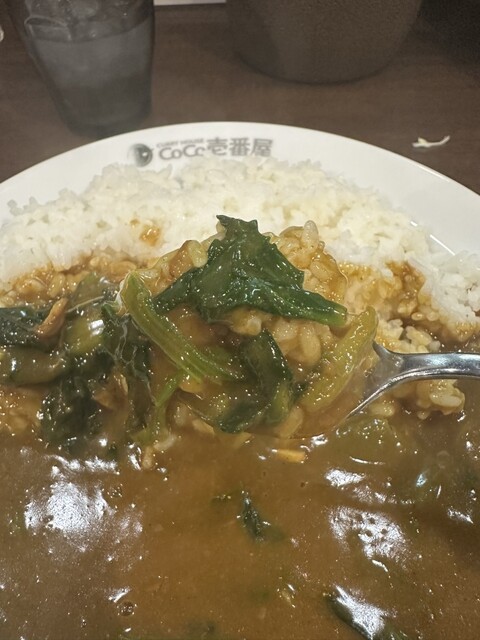 CoCo Ichibanya Kitaku Taiyuji Ten photo 4