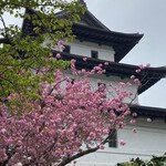 道の駅 北前船 松前 - 桜には城