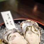 Usagiya - 生牡蠣（兵庫県室津産）