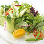 Kobayashi Shokudou - 昆布〆真鯛と十数種の野菜のサラダ仕立て