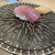 立ち食い寿司 極 - 料理写真: