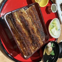 炭焼 うな富士 有楽町店 - 