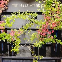 Terrace Dining TANGO - 