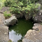 月与の童屋 - 小さな池