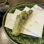 わらび野 - 巨大タラの芽｡巨大だけれど「伸びてしまった」訳ではなく、個体が巨大｡