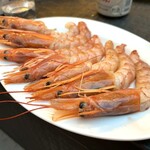 flap my wings - 海老