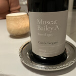 レミニセンス - 