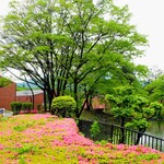 Nikka usuki sendai koujou miyagi kyoujouryuujo - 工場敷地内の風景