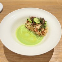 マンサルヴァ - 