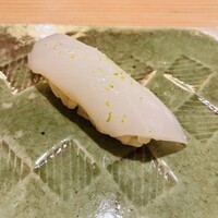 亀平 - アオリイカ✨