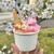 イタリアンジェラート　チェルキオ - 料理写真:ダブルカップ（ジェラート2種類まで）（¥390）
          　└いちごマスカルポーネ　
          　　桜餅