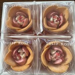 TULIP ROSE - 