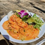 Barefoot Beach Cafe - 