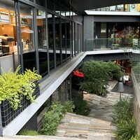 原宿焼肉 KINTAN - 