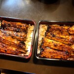 さくめ - 天然うなぎ大サイズ　と　天然うなぎ中サイズ