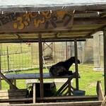 卵の郷ベーカリー てとて - なぜかお外にヤギさん。