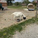 ビレッジベーカリー 駒ヶ岳 - 