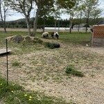 ビレッジベーカリー 駒ヶ岳 - 