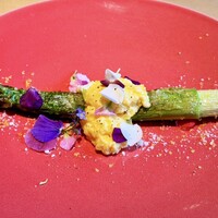 テアトロ ディ マッサ - アスパラガス