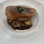 ルポ - メインのカモ