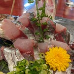 旬鮮 酢寿喜 - 分厚くて美味しい鯵の刺身