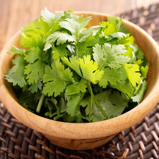 [Renewal Opening Special] Large serving of coriander 220 yen (tax included)