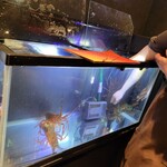 恵比寿 鉄板焼き Sublime - 