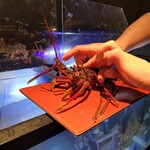 恵比寿 鉄板焼き Sublime - 