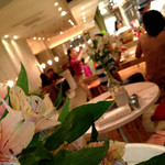 パプリカ食堂 Vegan - 縦長の店内合計約50席。