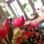 パプリカ食堂 Vegan - 年代物アンティークカップボード。