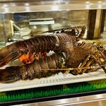 かねかつ食堂 - 伊勢海老