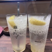 恵比寿ビストロ 猫も杓子も - 