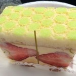 リリエンベルグ - フレジエ