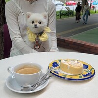 キハチ 青山本店 - 