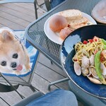 MARINA RESTAURANT TRIM - 敷物は持参しました。