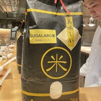 SUGALABO - 