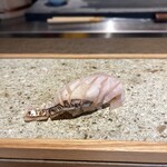 鮨トキドキ串 海老虎 - 