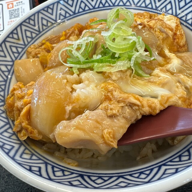 Yoshinoya Hachinohe Ishido Ten - Naganawashiro/Gyu-don (Beef