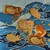 幸せの黄金鯛焼き - 料理写真:左上と右下の四角いのんが♪クロワッサンたい焼き♪