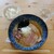 メントサケ - 料理写真:煮干し鶏白湯らーめん950円 ライス180円