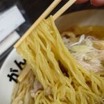 元祖一条流 がんこ総本家 分店 - 