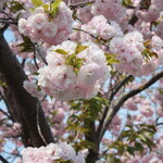 和RA-MEN だし奉行 - 