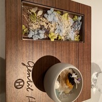 ジョンティ アッシュ - 