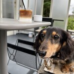 カフェ ヒップ カルイザワ - 