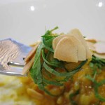 クイントカント - 