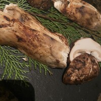 Shangri-La's secret ROPPONGI - 