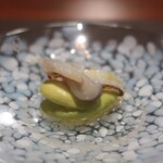 Kumazawa - 朝採れそら豆 鳥貝の紐添え