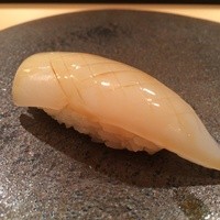 木挽町 とも樹 - イカ