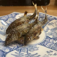 割烹 市川 - 琵琶湖かつ鮎塩焼き